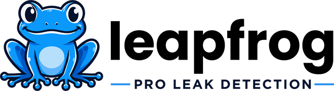 Leapfrog — Pro Leak Detection