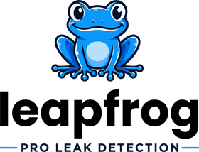 Leapfrog — Pro Leak Detection
